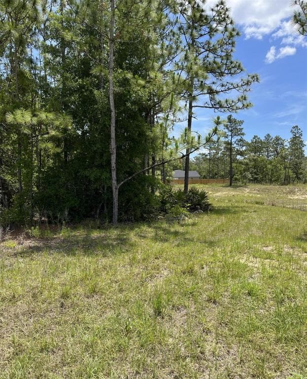 0 CELESTE {LOT6} AVENUE WEEKI WACHEE, FL 34614