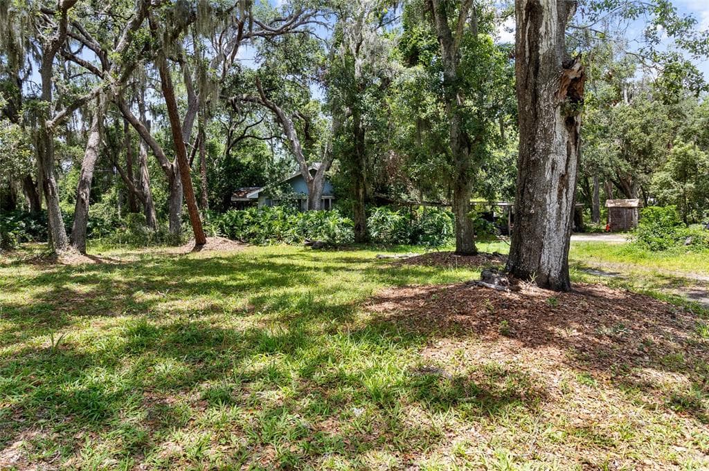 3703 LITHIA PINECREST ROAD VALRICO, FL 33596