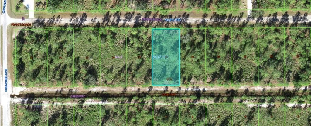 713 ALBA DRIVE INDIAN LAKE ESTATES, FL 33855