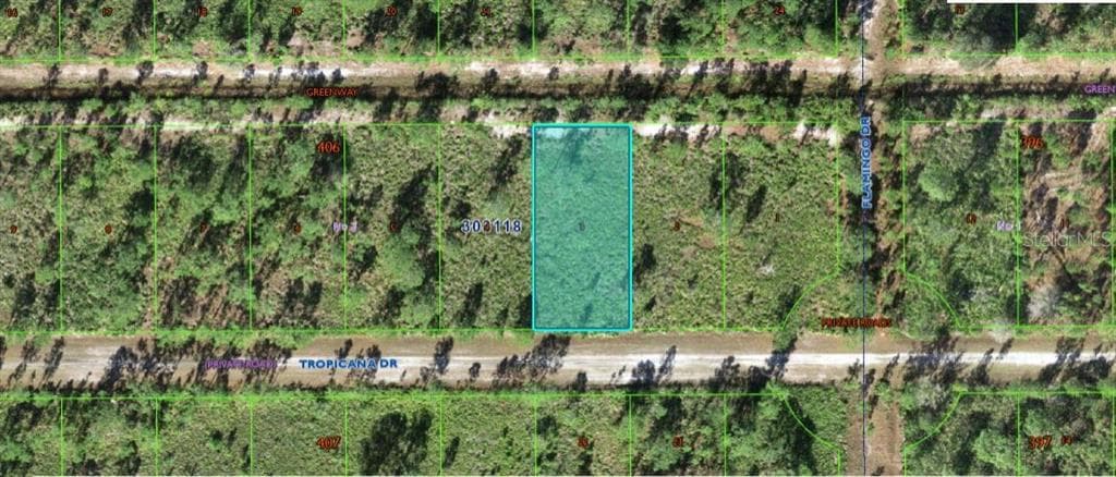 706 TROPICANA DRIVE INDIAN LAKE ESTATES, FL 33855