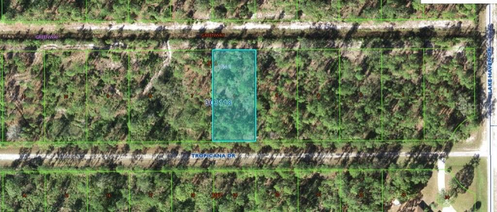 612 TROPICANA DRIVE INDIAN LAKE ESTATES, FL 33855