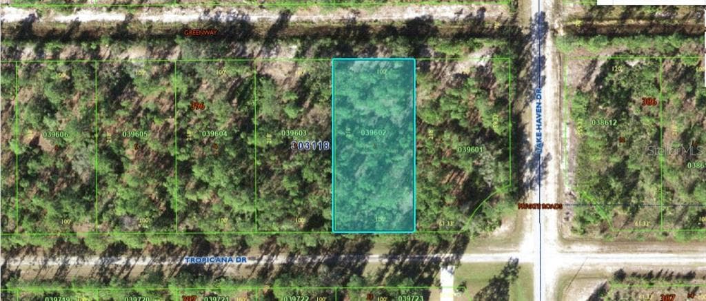 604 TROPICANA DRIVE INDIAN LAKE ESTATES, FL 33855