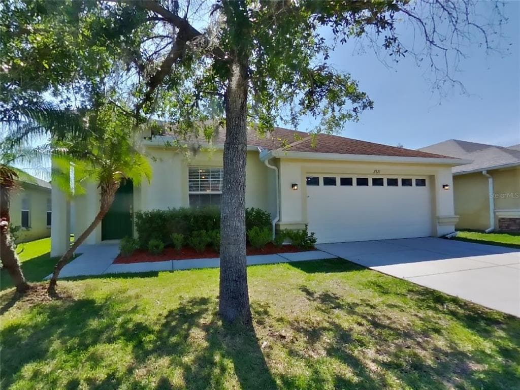 3921 LANGDRUM DRIVE WESLEY CHAPEL, FL 33543