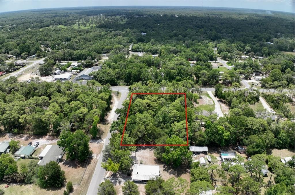 2994 S PINE RIDGE AVENUE HOMOSASSA, FL 34448