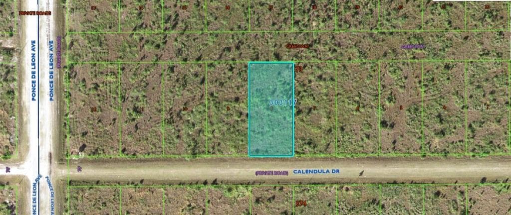 316 CALENDULA DRIVE INDIAN LAKE ESTATES, FL 33855