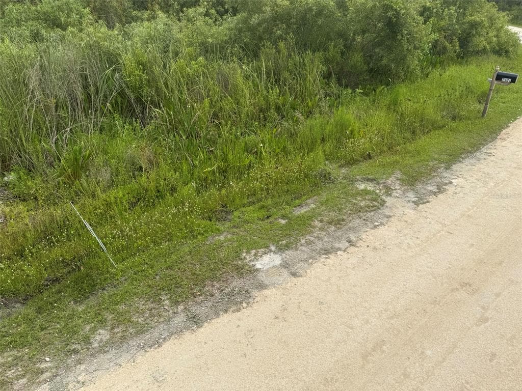 OTTER DRIVE WEBSTER, FL 33597