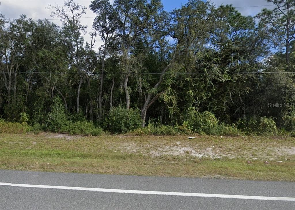 7446 TREIMAN BOULEVARD WEBSTER, FL 33597