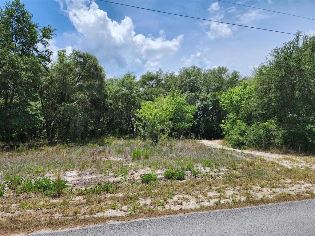 TBD SAILBOAT DRIVE DUNNELLON, FL 34431