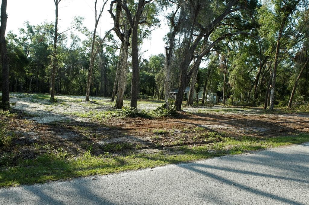 0 JUNIPER AVENUE WEBSTER, FL 33597