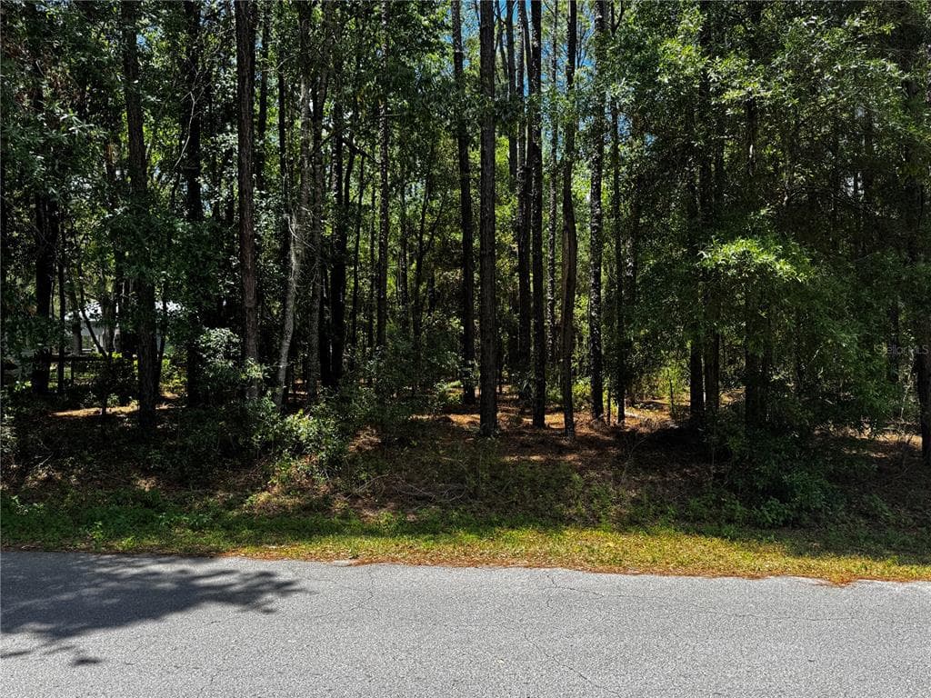 SW 202ND COURT DUNNELLON, FL 34431