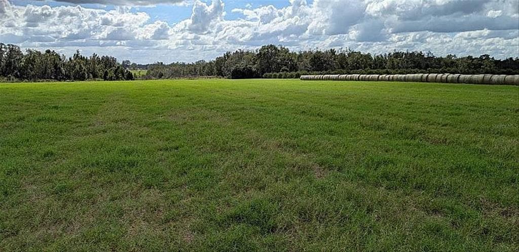 0 AMBERLEA DADE CITY, FL 33523