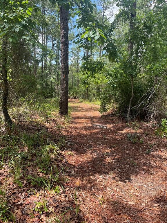 0 FIRETHORN POINT SPRING HILL, FL 34609