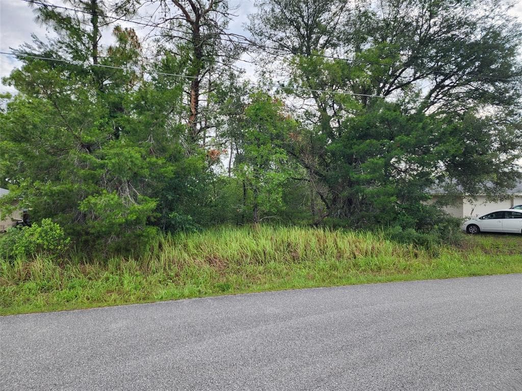 TBD PECAN PASS TRL OCALA, FL 34472