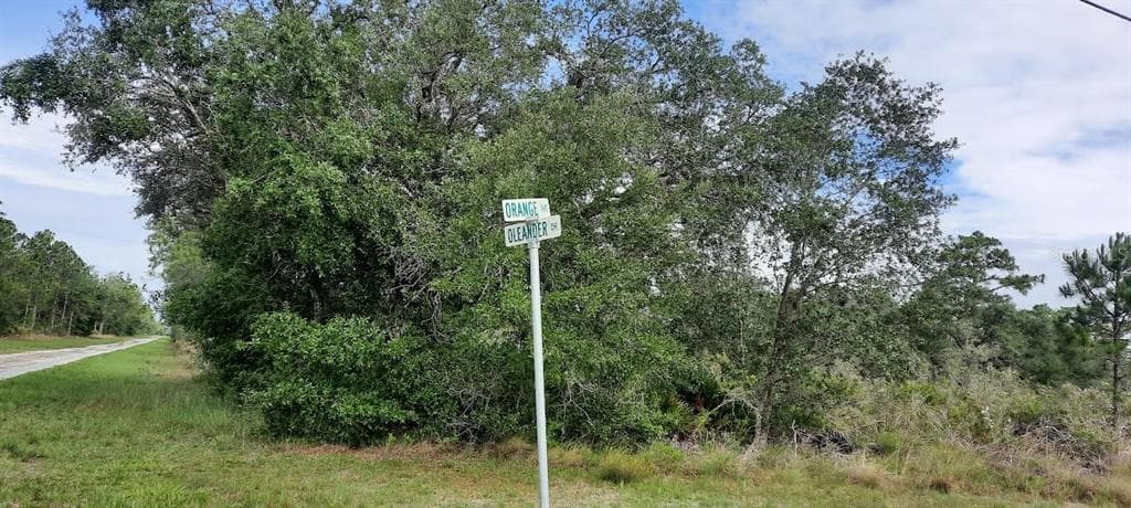 OLEANDER DRIVE INDIAN LAKE ESTATES, FL 33855