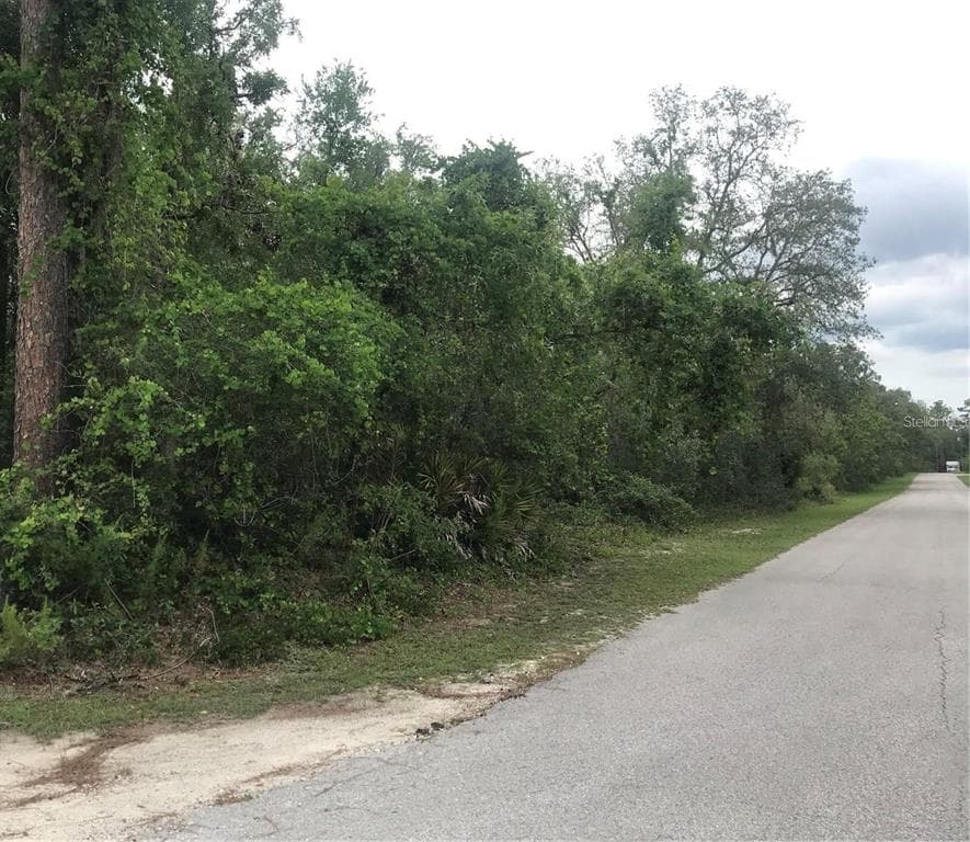 JUNIPER AVENUE WEBSTER, FL 33597