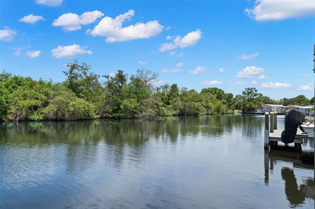 6833 MOUNT ORANGE DRIVE NE UNIT 392 ST PETERSBURG, FL 33702