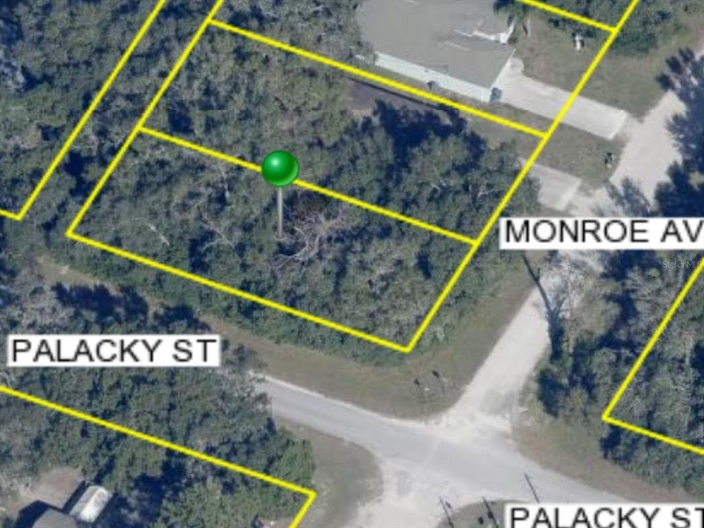 1059 MONROE AVENUE BROOKSVILLE, FL 34604
