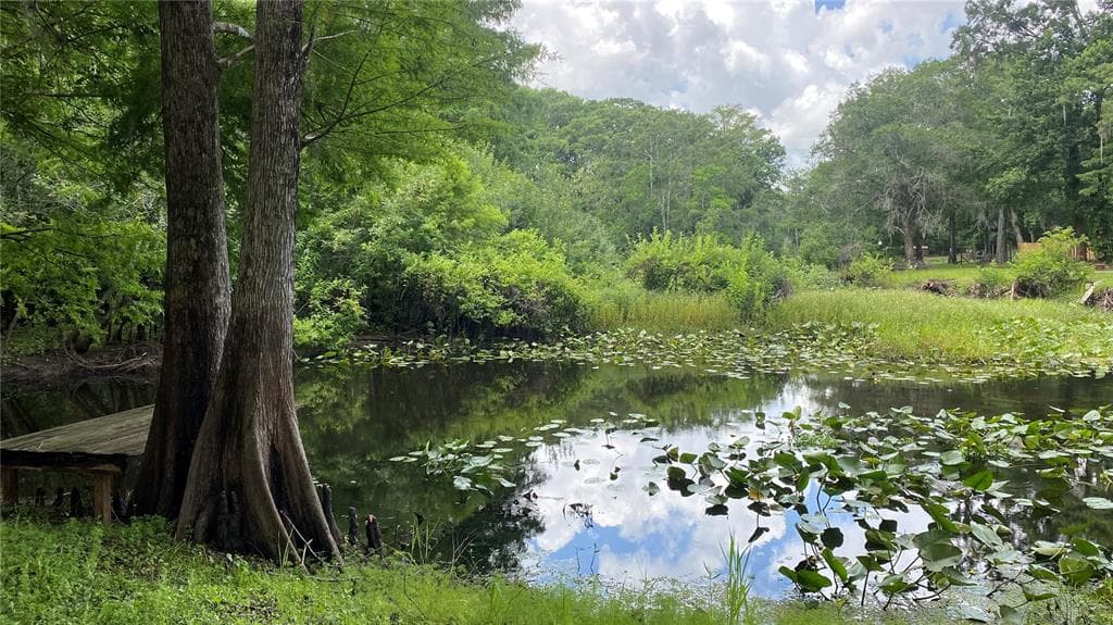 7234 CR 651W BUSHNELL, FL 33513