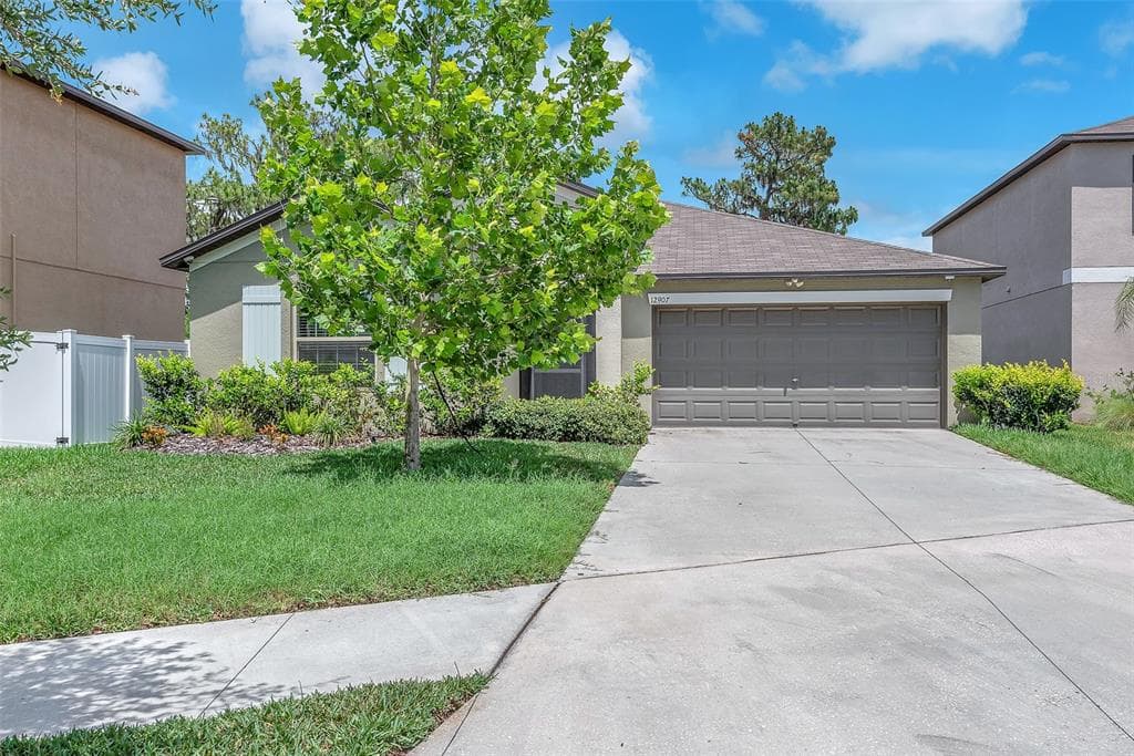 12907 WILDFLOWER MEADOW DRIVE RIVERVIEW, FL 33579