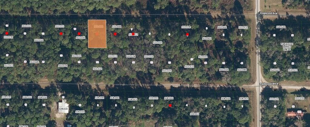 423 DOGWOOD AVENUE GEORGETOWN, FL 32139