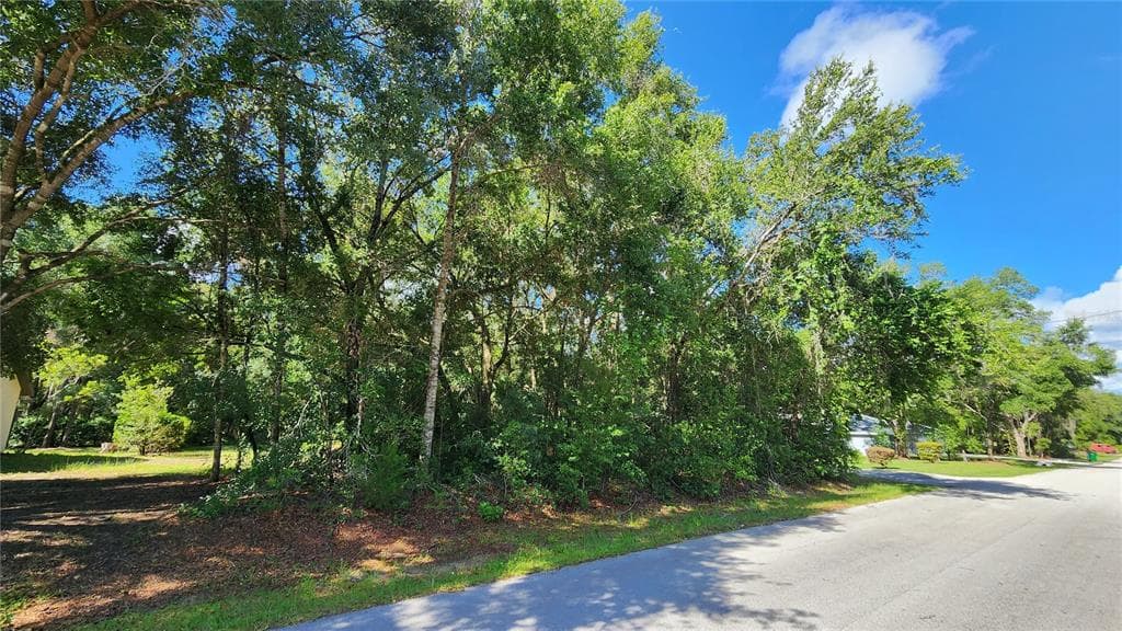 4104 E SCOTTY STREET INVERNESS, FL 34453