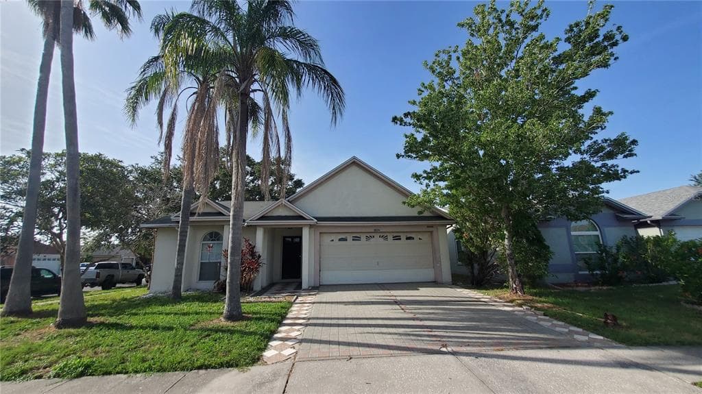 10024 CEDAR DUNE DRIVE TAMPA, FL 33624