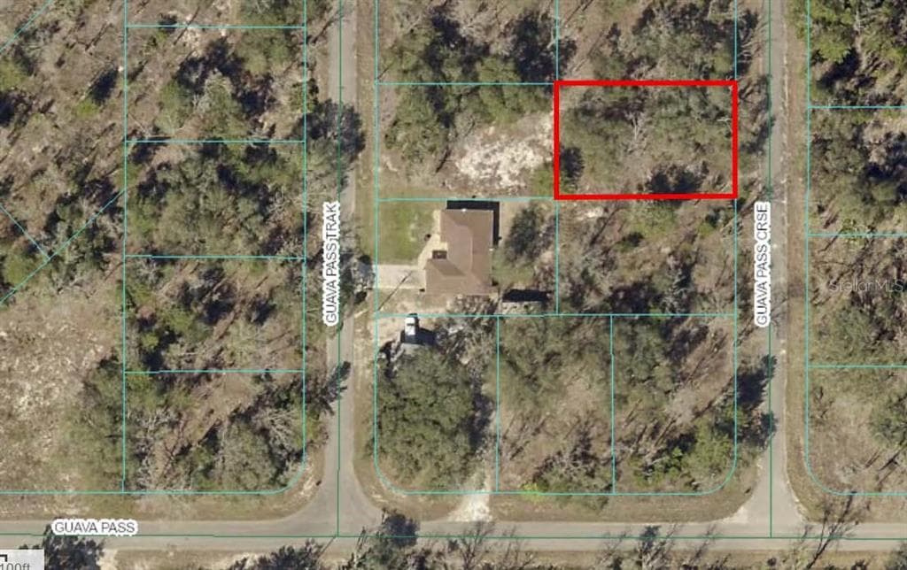TBD GUAVA PASS CROSSING CROSSING UNIT 5 OCKLAWAHA, FL 32179