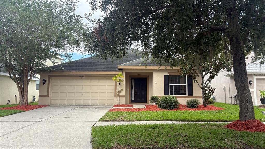 20050 NOB OAK AVENUE TAMPA, FL 33647
