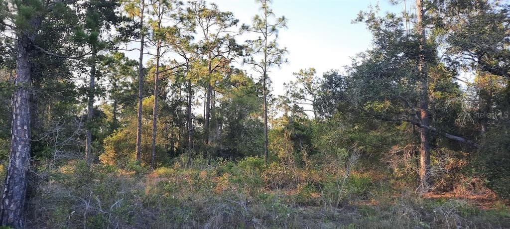 704 PLUMOSA DRIVE INDIAN LAKE ESTATES, FL 33855