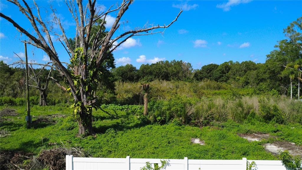 1932 ANDREWS LOOP LUTZ, FL 33558
