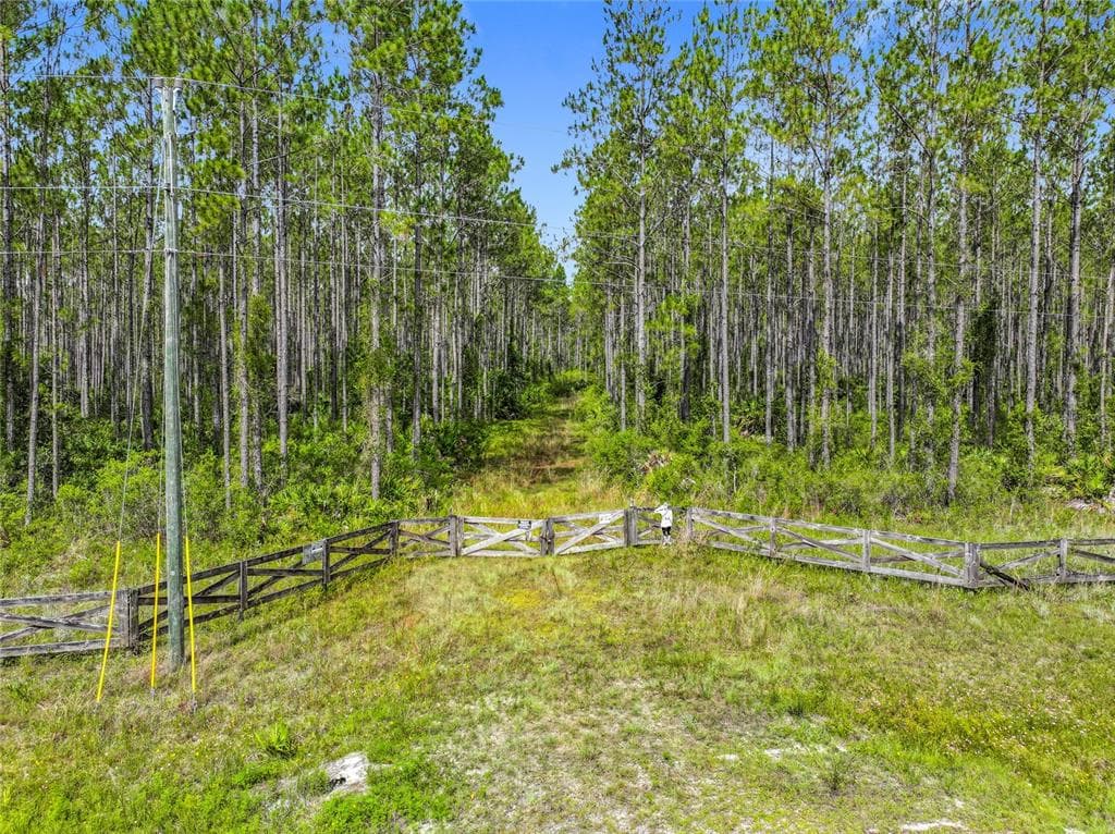 TBD NW CR 336 CHIEFLAND, FL 32626