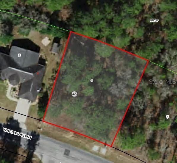 82 WHITEWOOD STREET HOMOSASSA, FL 34446
