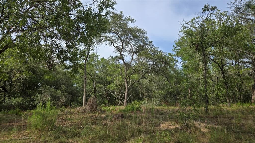 4811 N REDWOOD AVENUE HERNANDO, FL 34442