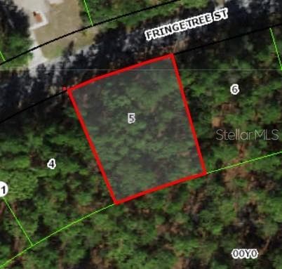 37 FRINGETREE STREET HOMOSASSA, FL 34446