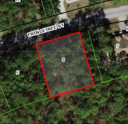 39 FRINGETREE STREET HOMOSASSA, FL 34446