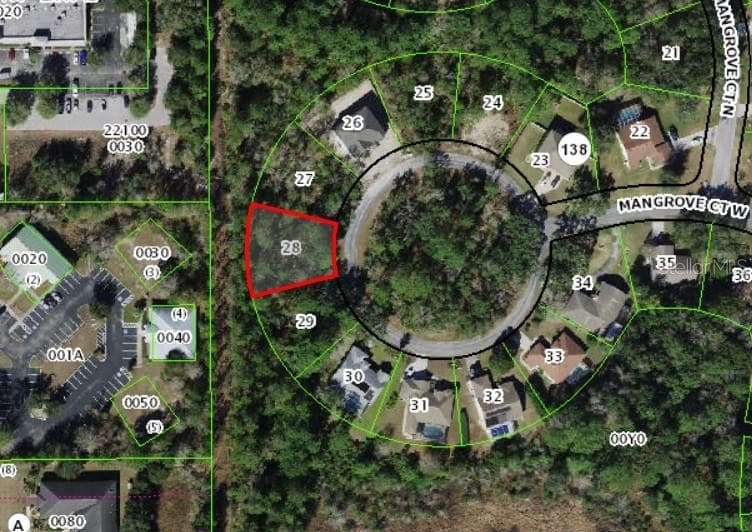 18 MANGROVE COURT W HOMOSASSA, FL 34446