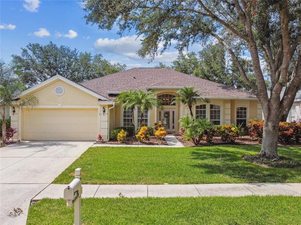 10203 SHADOW BRANCH DRIVE TAMPA, FL 33647