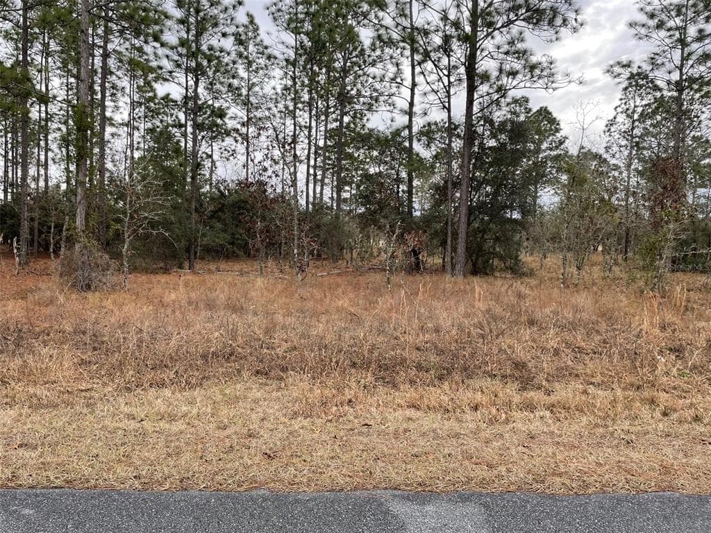 LOT 14 SE 136 TERRACE DUNNELLON, FL 34431