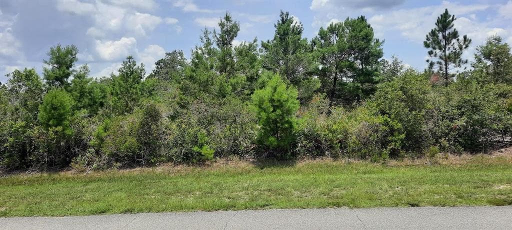 111 PARK AVENUE INDIAN LAKE ESTATES, FL 33855