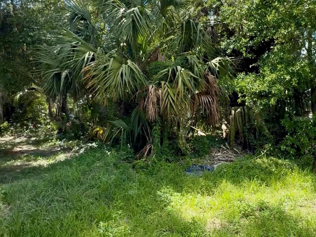 208 S FRANKLIN STREET PLANT CITY, FL 33563