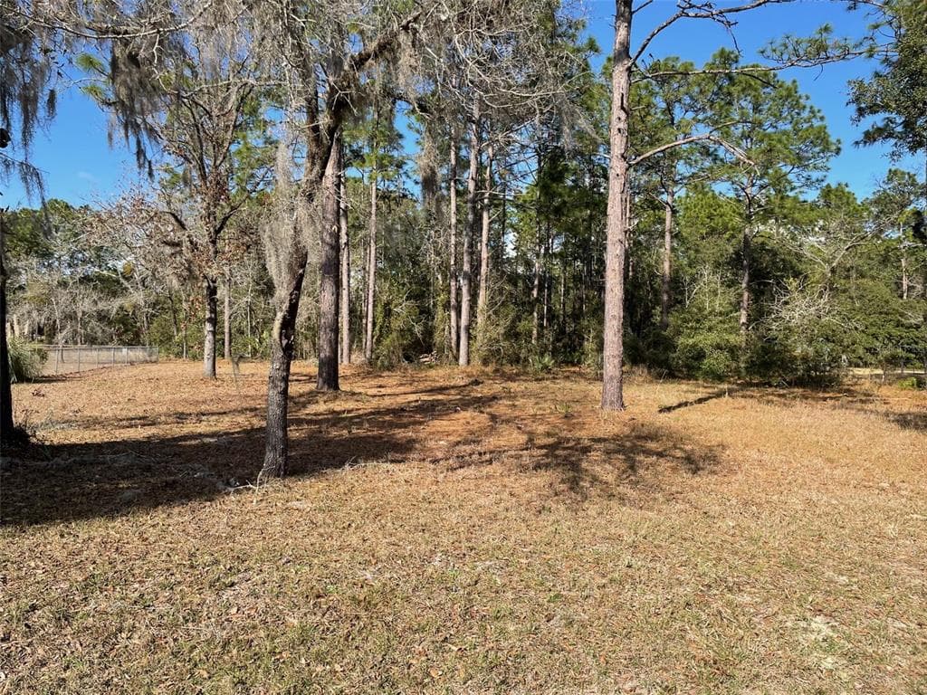LOT 40 SW MARINE BOULEVARD DUNNELLON, FL 34431