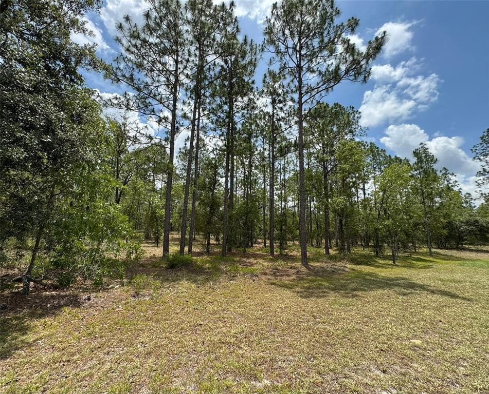 Lot 15 SW NEPTUNE BOULEVARD DUNNELLON, FL 34431