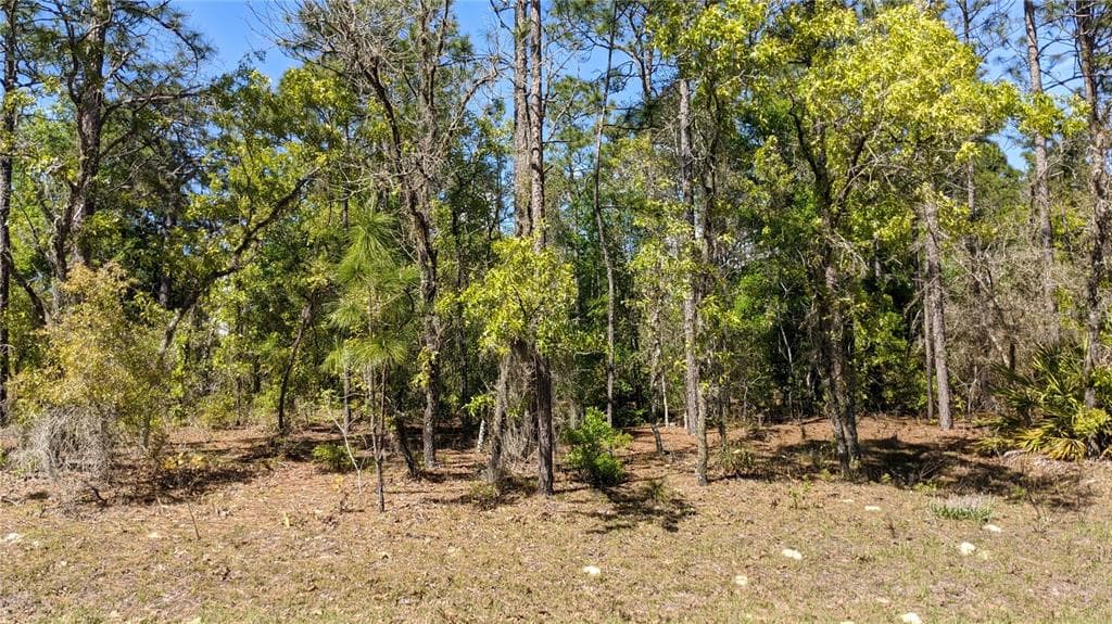 0 SW 97TH PLACE DUNNELLON, FL 34432