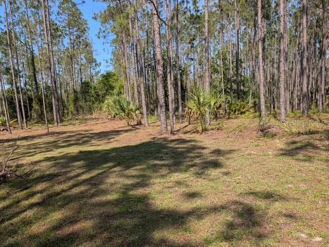 540 SW 326TH AVENUE STEINHATCHEE, FL 32359
