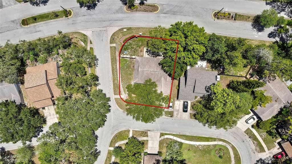 14619 DAYBREAK DRIVE LUTZ, FL 33559