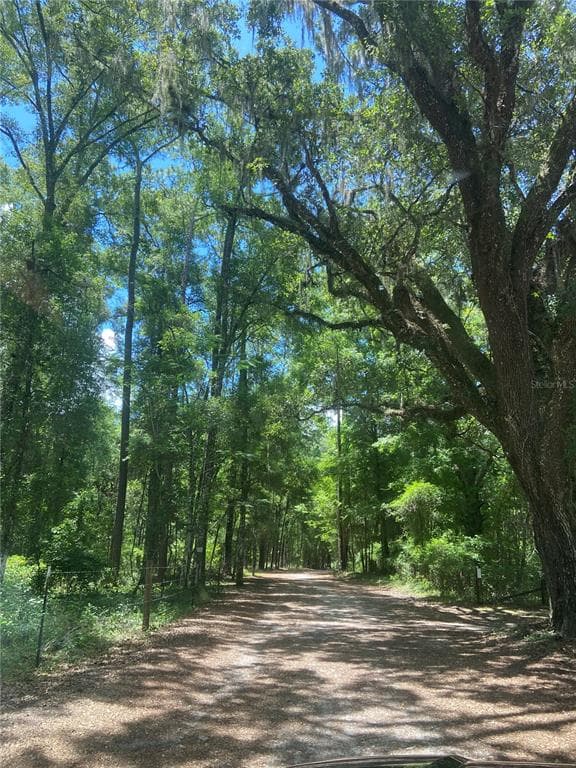 NE 166TH AVENUE WILLISTON, FL 32696