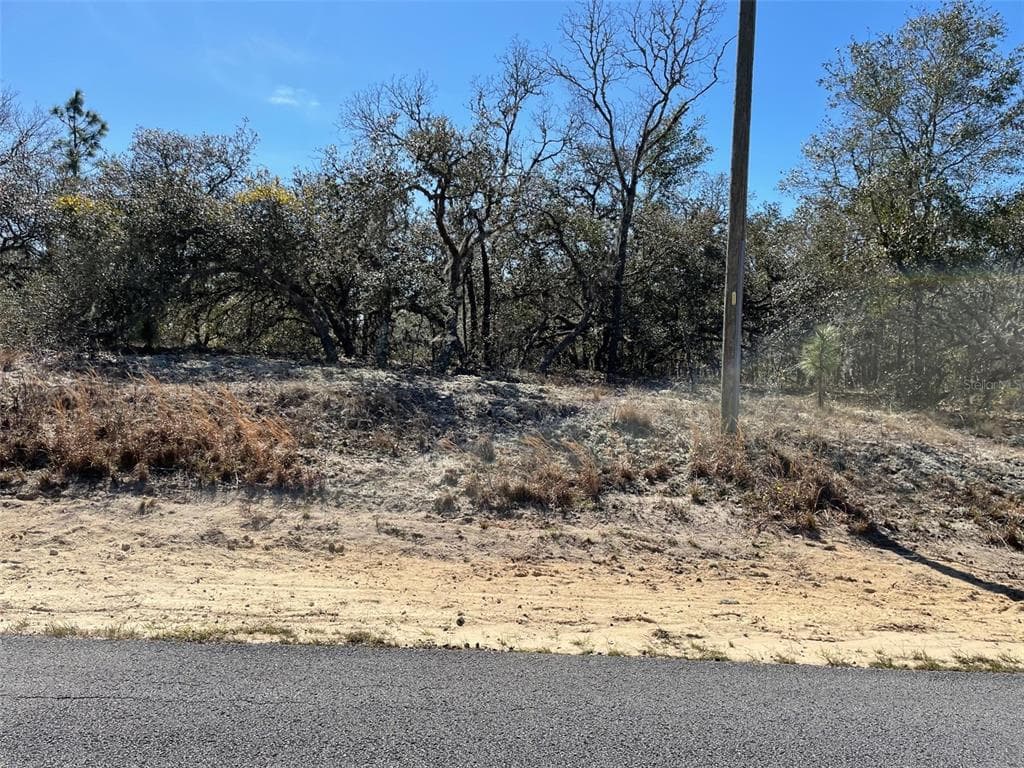 LOTS 14 & 15 SW KEARNEY LANE DUNNELLON, FL 34431