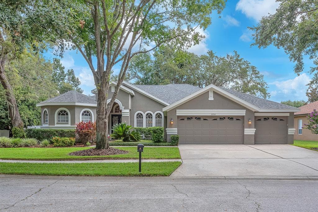 15206 MERLINPARK PLACE LITHIA, FL 33547