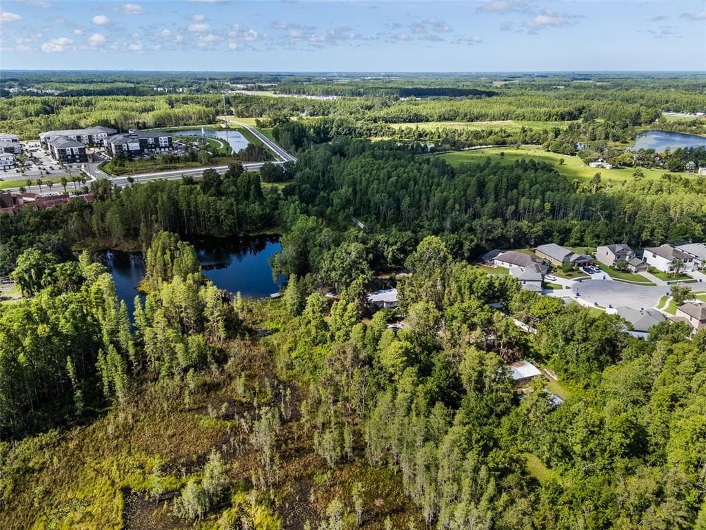 20007 BETEL PALM LANE LAND O LAKES, FL 34638