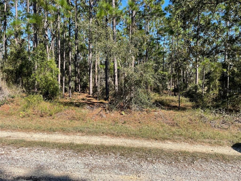 LOTS 16 & 17 SE 130 COURT DUNNELLON, FL 34431